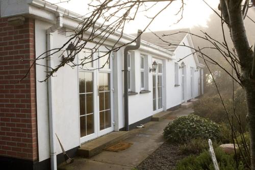 Evergreen Bed & Breakfast - image 11