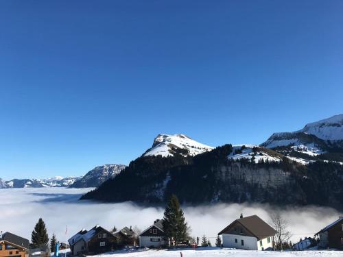 Ob Vierwaldstättersee