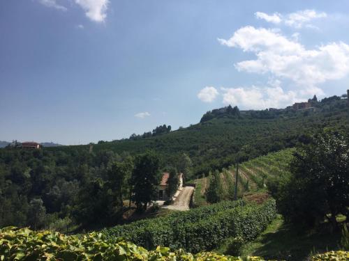 Cascina Flino in 迪亞諾達爾巴