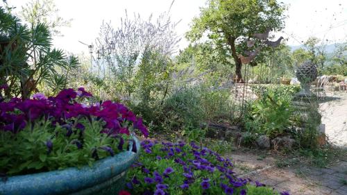  La Casa del Maestro in Monsummano