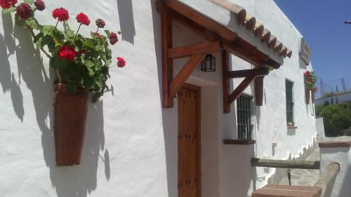 Casas El Molino - image 7