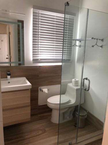 Stay Inn Dania Beach - image 10