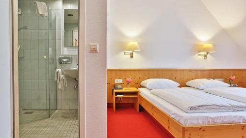 Hotel Restaurant Krokodil - image 8