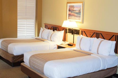 Standard Two Double Bed