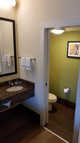 Wingate by Wyndham Macon West I-475