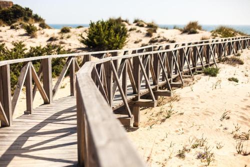 Valentin Sancti Petri - image 5