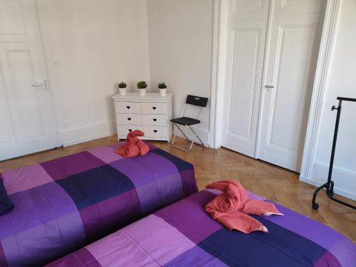 STRASBOURG CENTRE le 85, Superbe F5, 125m2, 5 Pièces, Strasbourg (photo 8)