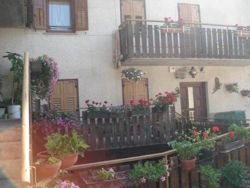 Agritur Alpino - Hotel - Cavedago