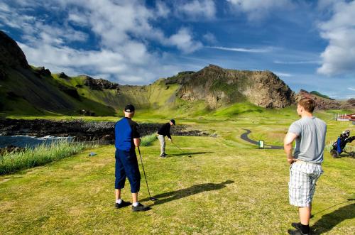 Hotel Vestmannaeyjar - image 3
