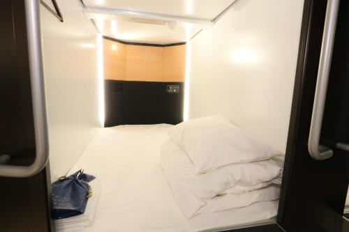 Capsule Room Lightning Hotel Asakusa, Токио (фото 6)