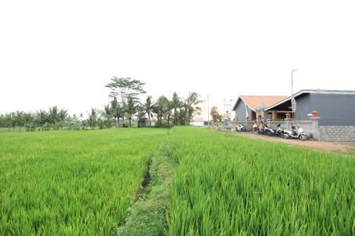 Ayuna Family Ubud