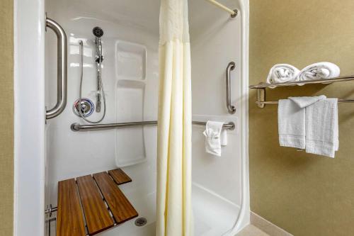 Queen Room with Roll-in-Shower - Accessible/Non-Smoking