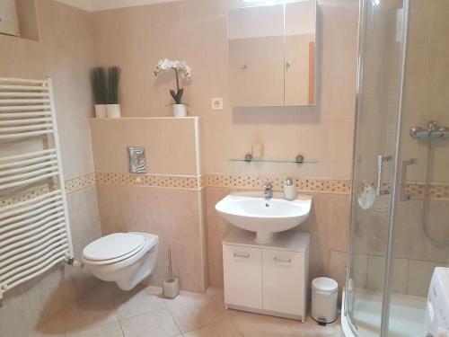 Központhoz közeli - Cool Tettye Apartman (Kozponthoz kozeli - Cool Tettye Apartman) in เมซเซกอลดัล