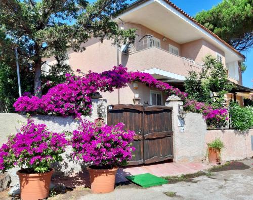  Casa Angelika, Pension in Porto Pozzo bei Bassacutena