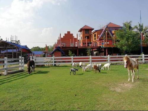 Dome Ing Prao Cowboy Home-stay Dome Ing Prao Cowboy Home-stay