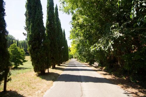 B&B Poggiobonizio - image 7