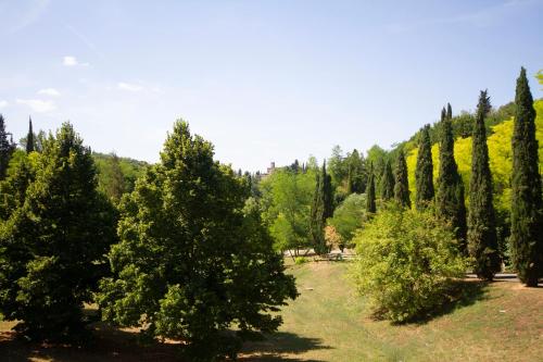 B&B Poggiobonizio - image 10