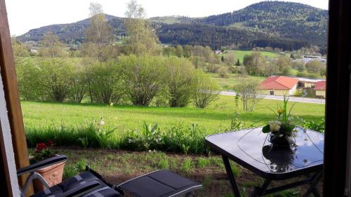 Appartement-Harlachberg-Blick-2 - Apartment - Bodenmais