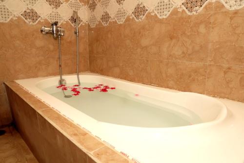 aravali hills resort