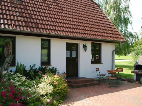 Schoenes Ferienhaus in Dargun mit Pool Schoenes Ferienhaus in Dargun mit Pool