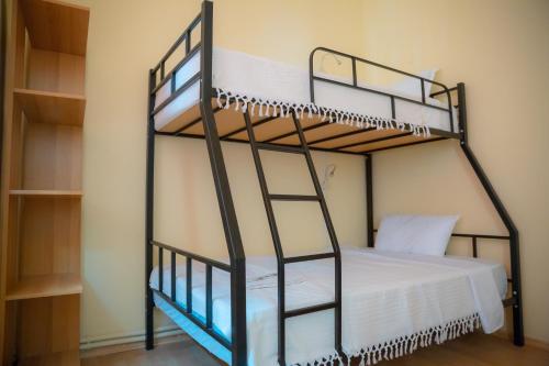 Wine Hostel – Tbilisi, MA