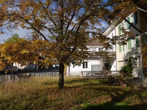 Grosszügiges Bauernhaus für Familie und Freunde (Grosszugiges Bauernhaus fur Familie und Freunde) in Hallau
