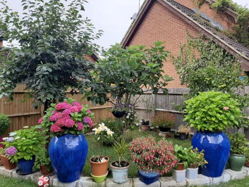 zahrada, Burgess Hill Homestay in Crawley