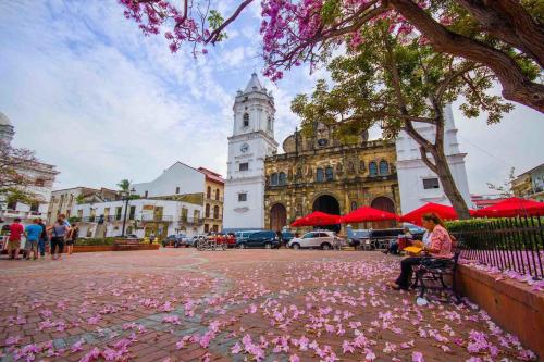 Amazing SUITE in Casco Antiguo - image 5