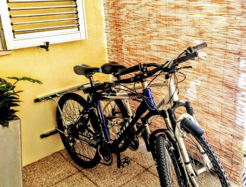  Passadiços da Ria in Aveiro