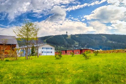 Aparthotel Klínovec Views - Accommodation - Loučná pod Klínovcem