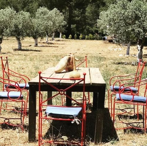  BAŞKA BİR YER BUTİK OTEL in Aydın