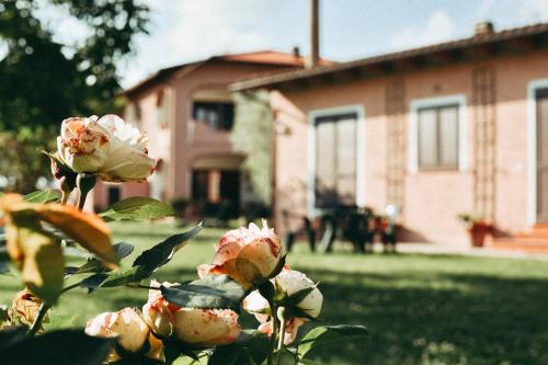  Agriturismo Vallerana, Pension in Capalbio bei Marsiliana