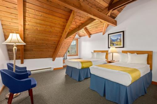 Zimmer, loft, haustiere erlaubt