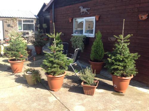 Farmhouse, Wallington, Surrey