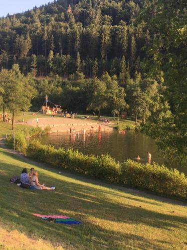 App mit Seeblick am Hillebachsee in Winterberg OT in Niedersfeld