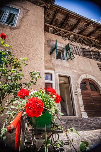 Casa Alice BnB Sfruz