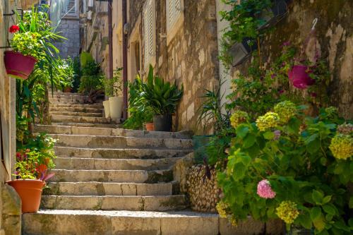 House for Winter Holidays with Floor Heating & Private Garden in the Old Town
