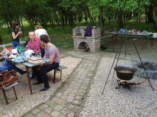 Tisza-beach wild camping 5