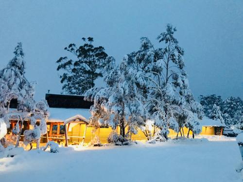 Cradle Mountain Wilderness Village