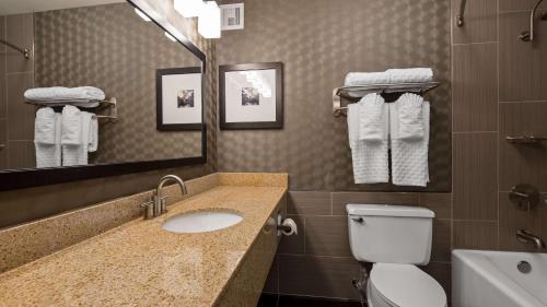 Best Western Premier Airport/Expo Center Hotel - image 14