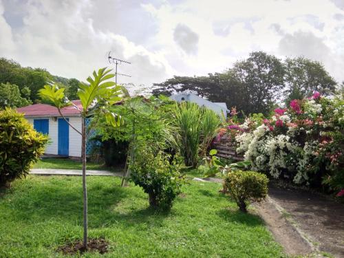 Appartement Rosbambou les pieds dans l eau Appartement Rosbambou les pieds dans l eau
