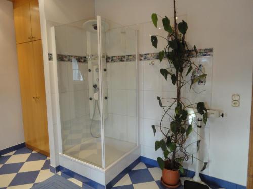 Dušš, Zeilinger Villa in Knittelfeld