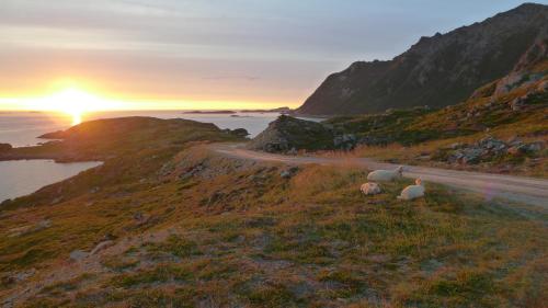 Lovely 3 rooms apartment for holiday in Nyksund in Nyksund