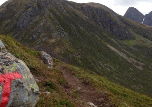 Holiday in the former fishing factory Arntzen-brygga