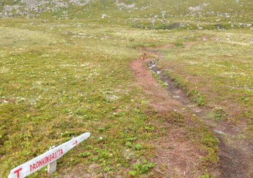 Holiday in the former fishing factory Arntzen-brygga