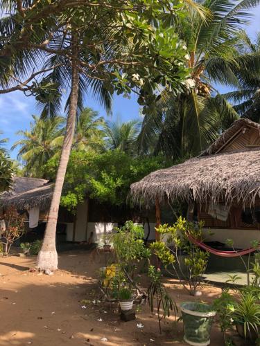 Sun Wind Beach Kalpitiya Kite Resort