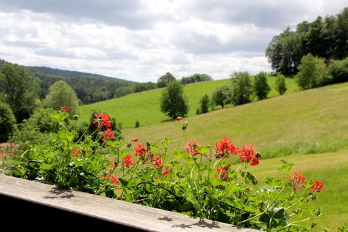 Hotel Gassbachtal