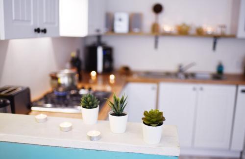 Blue Apartament