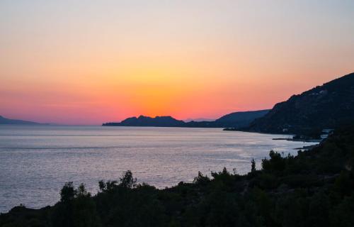 Pappas Hotel - image 3