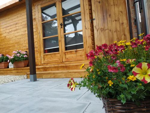 Cosy Place, Thornton Heath, London